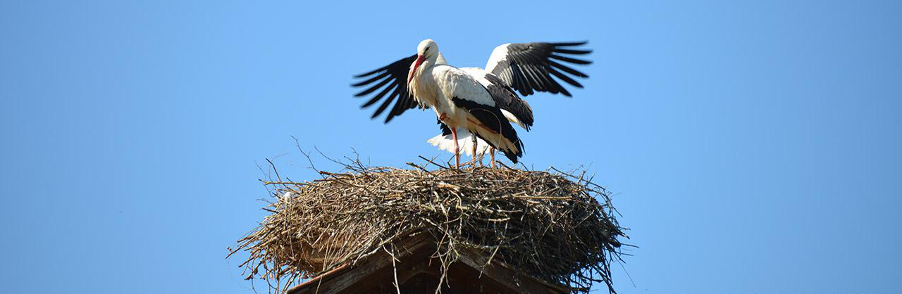 北京正华恒盛科技有限公司